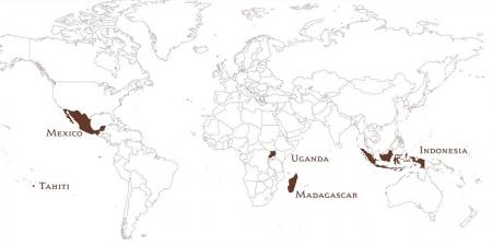 Najbolj cenjena vanilija prihaja iz otoka Madagaskar. Izraz burbonska vanilija velja samo za vanilijo
