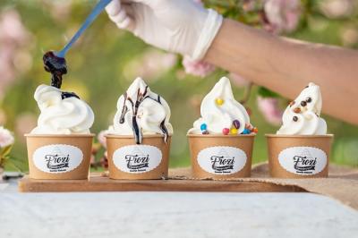 Zamrznjen jogurt s Kmetije Sinkovič!