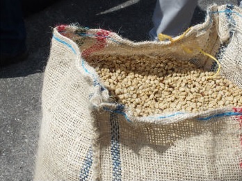 Transport kave v zrnju poteka v vrečah iz jute