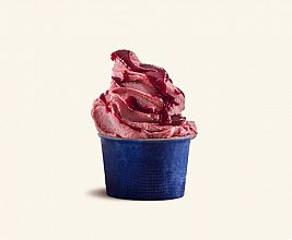 sorbet iz gozdnih sadežev