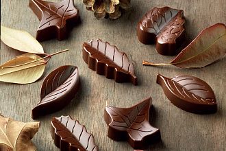 čokoladne praline v obliki naravnih listkov