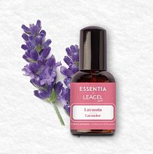 sladoledni parfum sivka lavender