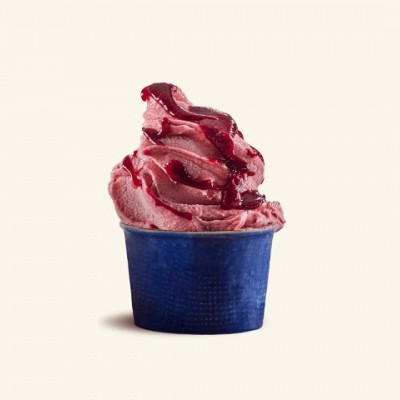 sorbet iz gozdnih sadežev