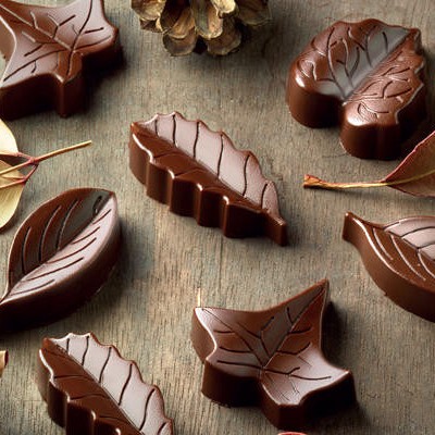 čokoladne praline v obliki naravnih listkov