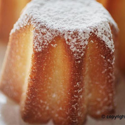 SF100 PANDORINO 16.100.00.0000