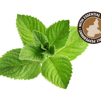 PASTA MENTA GLACIALE 3,5kg M2020323105