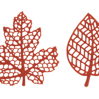 dekoracija v obliki dveh različnih listkov