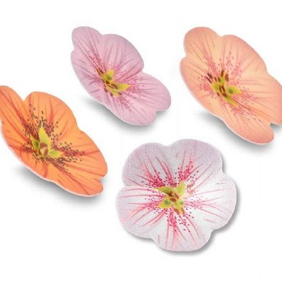 rozice iz hostije, okrašene s potiskom