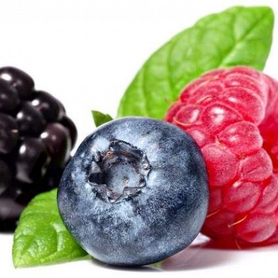 sadni pire iz gozdnih sadežev