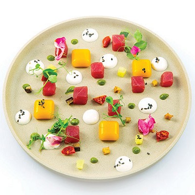 MICRO DOME 5 36.221.87.0065