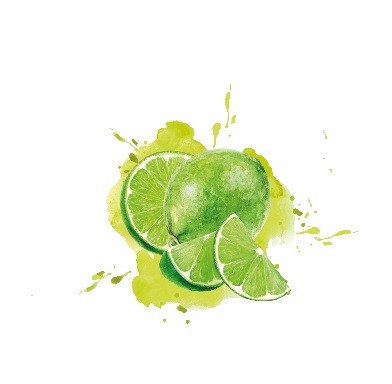 sadni pire limeta brez dodanega sladkorja