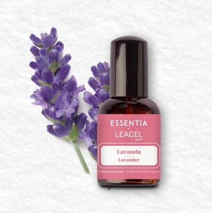sladoledni parfum sivka lavender